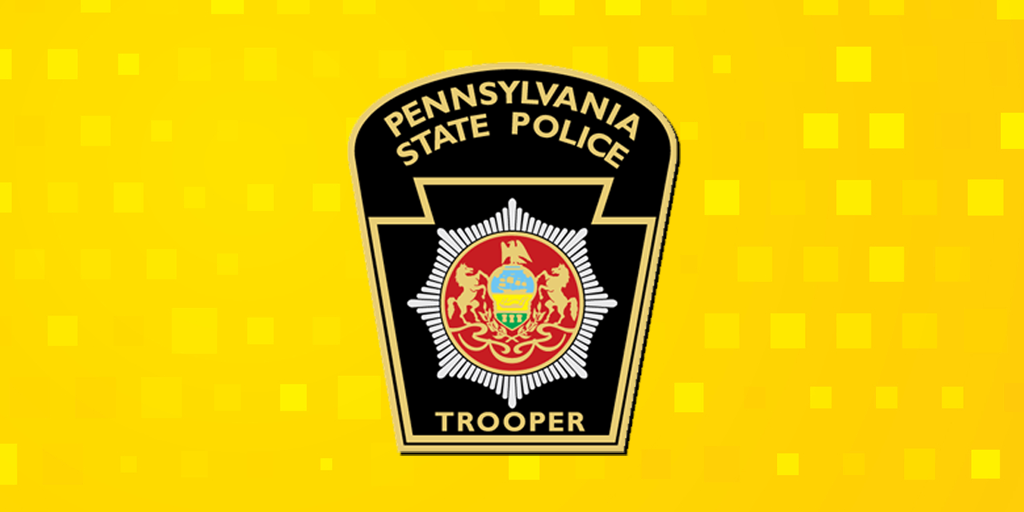 schuykill county man kicks dog punches woman