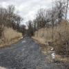 A group of hunters say they found a body laying face down in a wooded area outside St. Clair on Thursday morning.